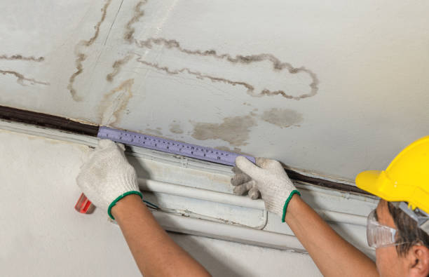 Reliable Water Damage contractor in Croydon, UT by Water Damage Irwin